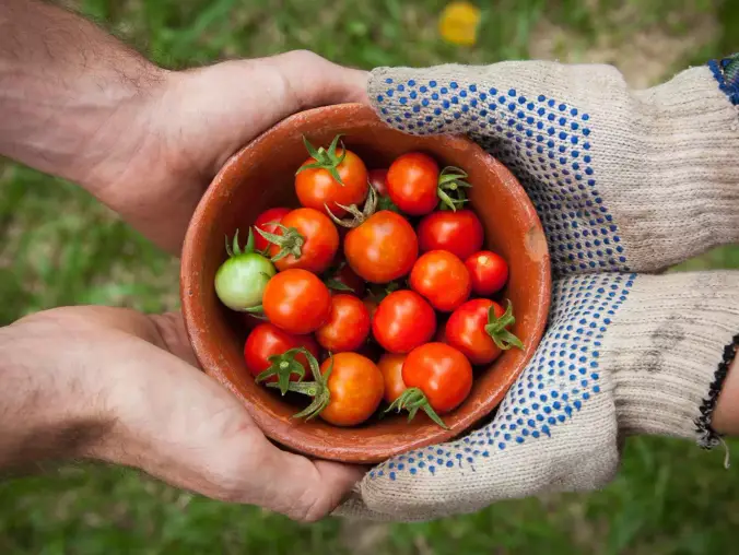 Bahçe Manzaralı Flora Dublex Oda — görsel 3